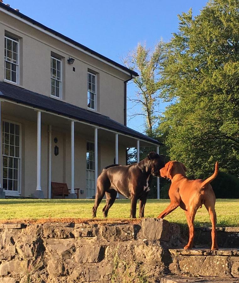 Llwynhelig Manor Bed and Breakfast Llandeilo Εξωτερικό φωτογραφία