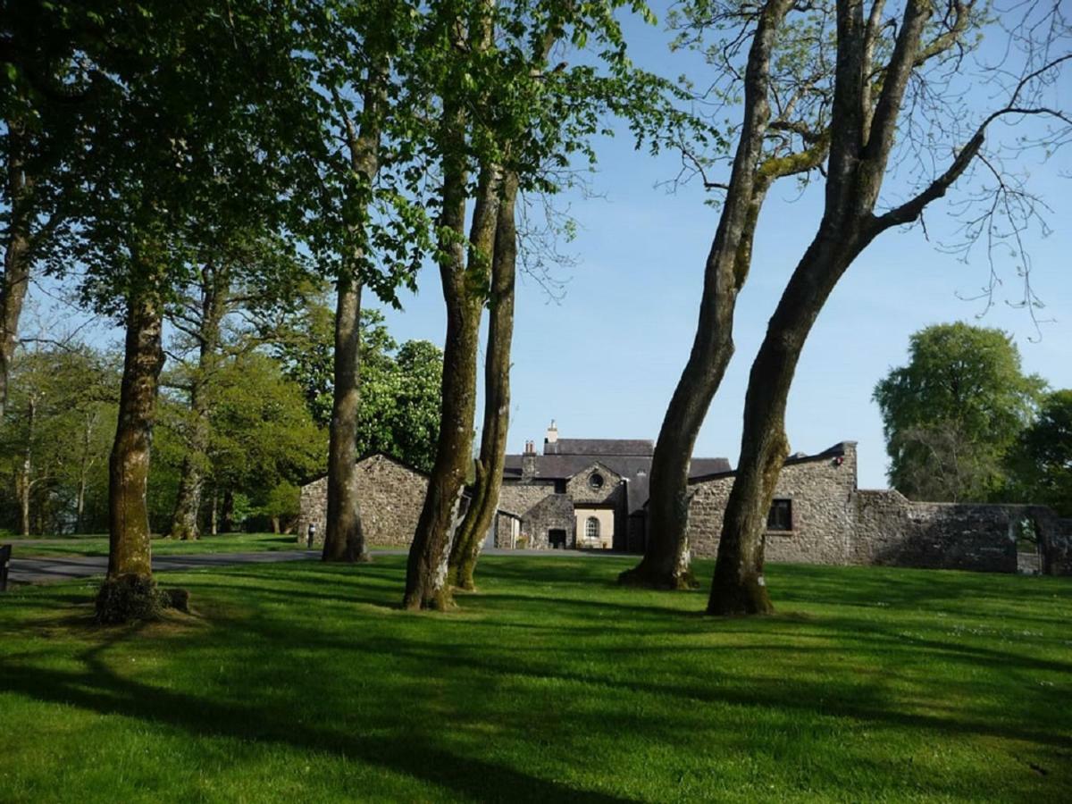 Llwynhelig Manor Bed and Breakfast Llandeilo Εξωτερικό φωτογραφία